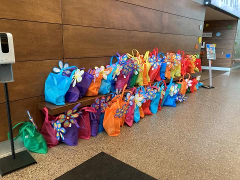 image of craft bags lined up in the library lobby