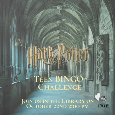 Harry Potter BINGO Challenge