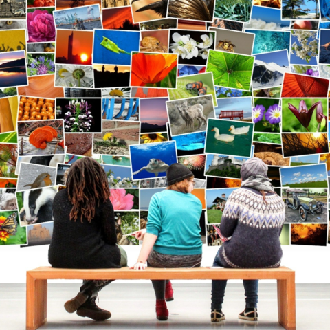 image of people looking at a wall of art