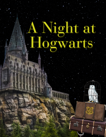 Night at Hogwarts picture