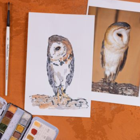 image of a print of an owl with paintbrush and watercolors