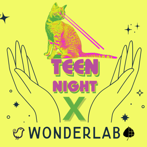 image of WonderLab objects and the Teen Night laser kitty