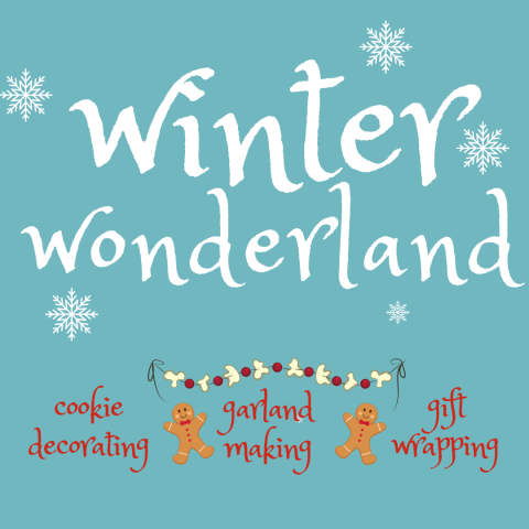 image with snowflakes and the words "winter wonderland"