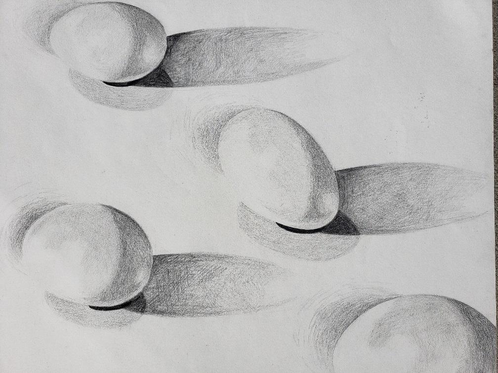 Pencil drawing of four eggs with their shadow