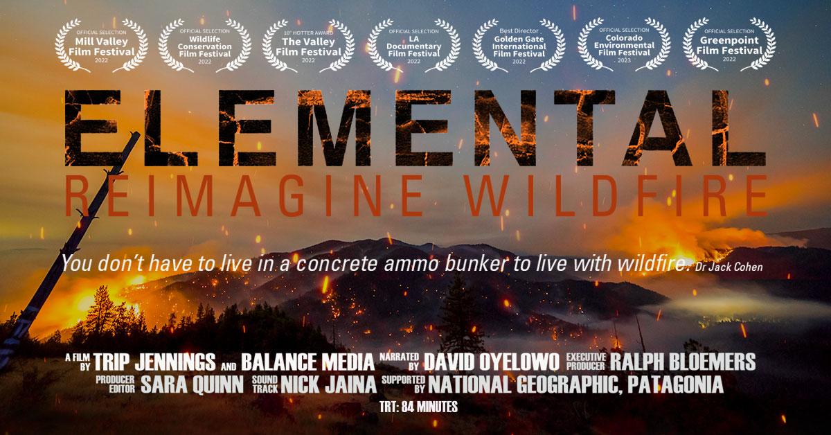 Elemental movie poster of burning landscape